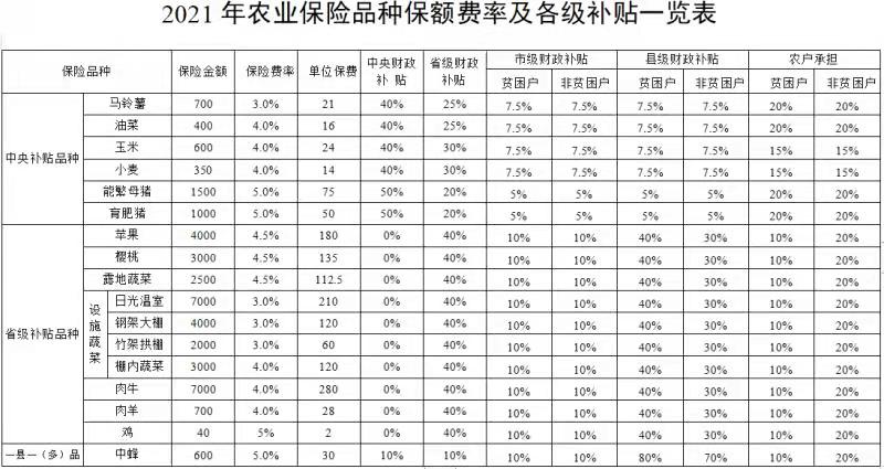 493836176.jpg 493836176.jpg