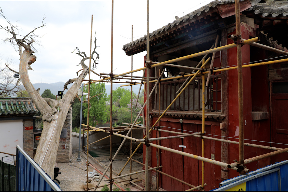 图片3.jpg 图片3.jpg